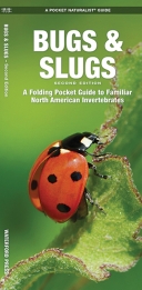 Pocket Naturalist: Bugs & Slugs 2nd/ED