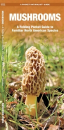 Pocket Naturalist: Mushrooms