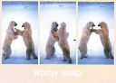 0013  Winter Waltz  