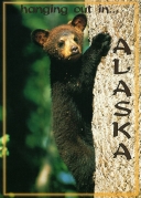 0028  Hanging Bear  